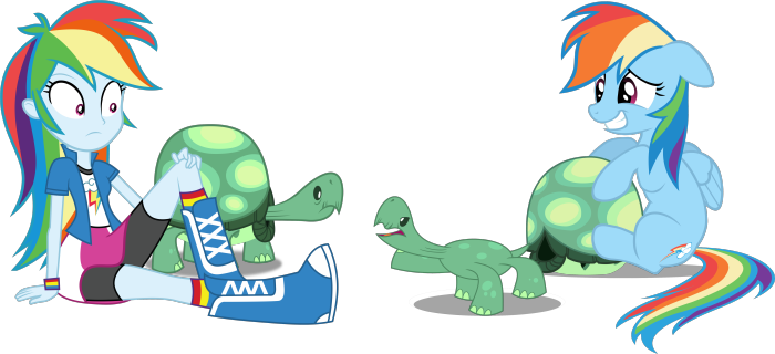 Rainbow Dash and Tank from My Little Pony