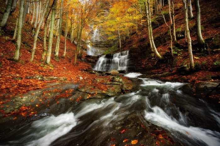 Waterfall in an autumn forest with fallen leaves