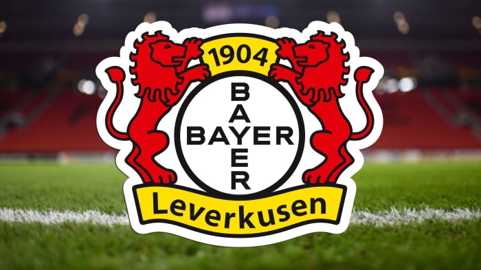 Bayer 04 Leverkusen logo on a soccer field