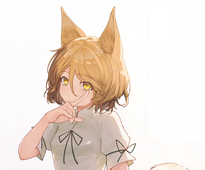 Tsukasa Kudamaki from Touhou with animal ears