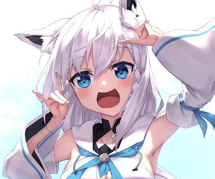 Shirakami Fubuki from Hololive