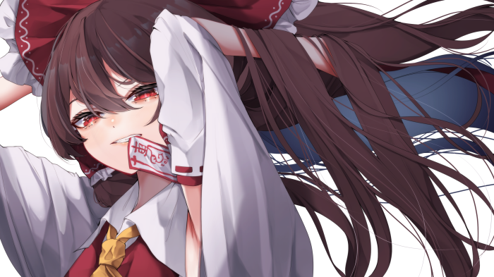 Reimu Hakurei from Touhou Project