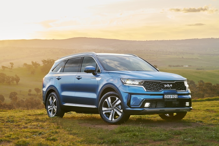 Blue Kia Sorento SUV parked on a grassy hill