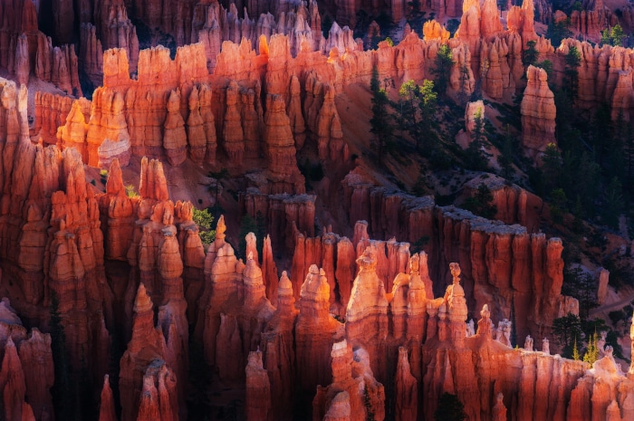 Bryce Canyon National Park hoodoos at sunset