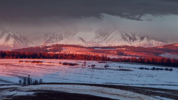 Winter mountain landscape at sunrise with snow-covered fields
