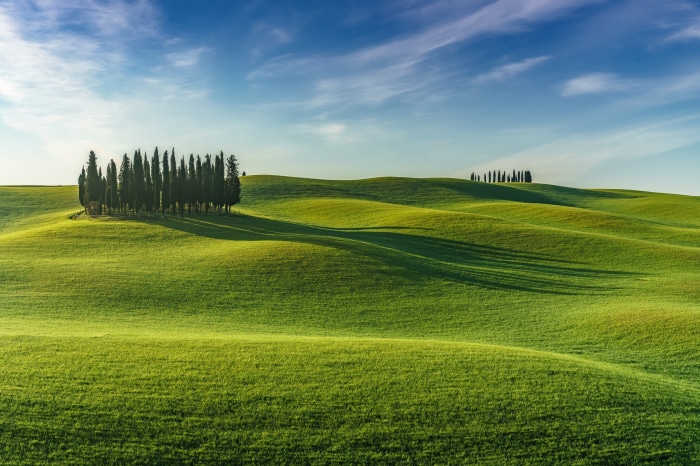 Rolling green hills with cypress trees under a blue sky