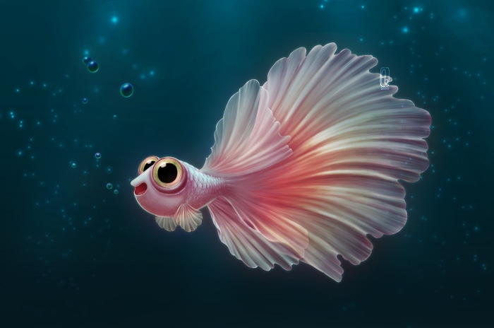 Fantasy Betta Fish with Big Eyes