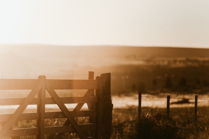 Wooden gate in a field at sunset