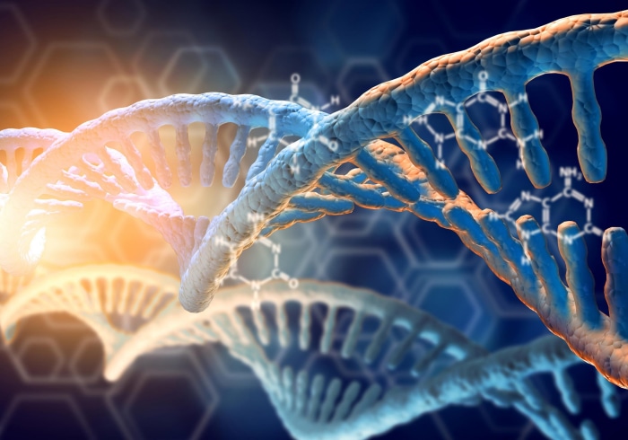 Artistic DNA Structure