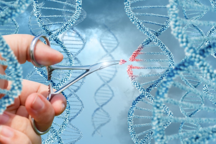 Gene Editing with Surgical Forceps and DNA Strands