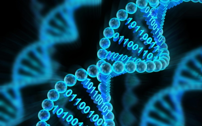 Digital DNA Structure with Binary Code