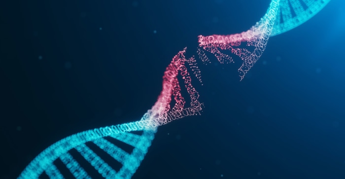 Abstract DNA strand with red and blue segments