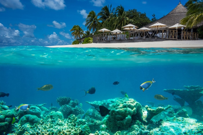 Underwater Coral Reef and Tropical Island Resort