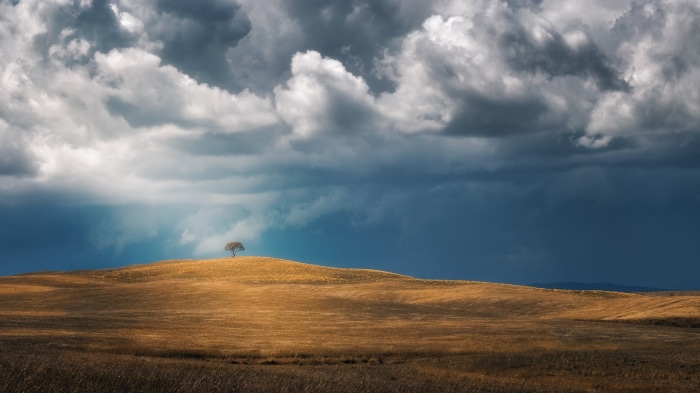 Lone tree on a hill under stormy clouds