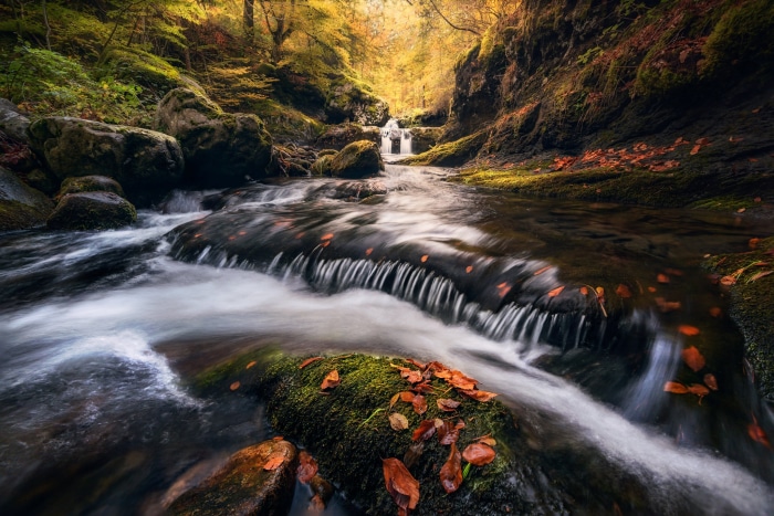 Stream in Sierra de Cebollera Natural Park, Spain