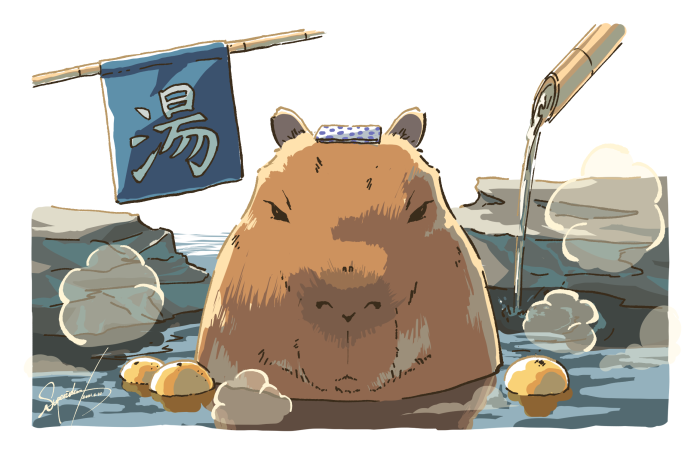 Capybara relaxing in a hot spring with oranges