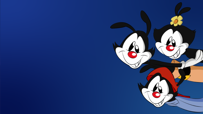Yakko, Wakko, and Dot Warner from Animaniacs