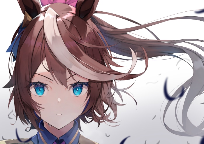 Tokai Teio from Uma Musume: Pretty Derby 4K