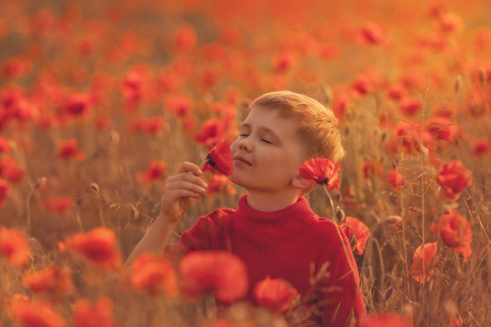 Boy smelling poppies in a field