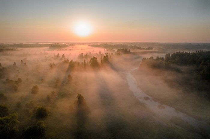 Sunrise over a misty forest and river