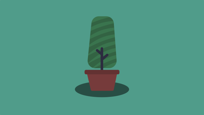 Minimalistic potted plant with green leaves