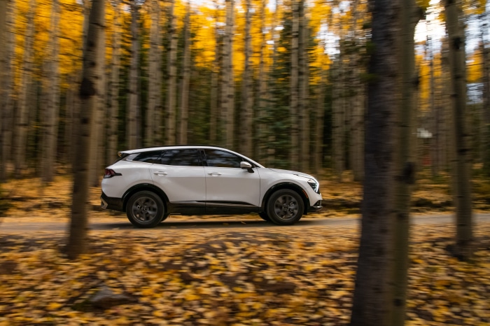 White Kia Sportage SX driving on a forest road