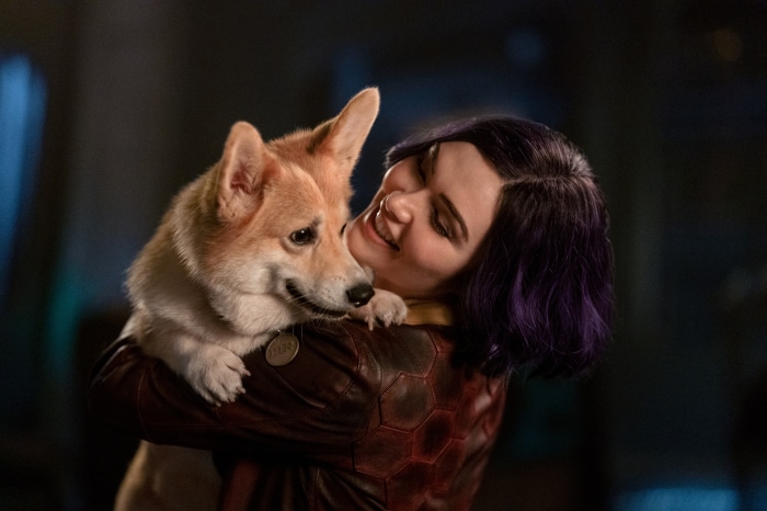 Faye Valentine and Ein from Cowboy Bebop