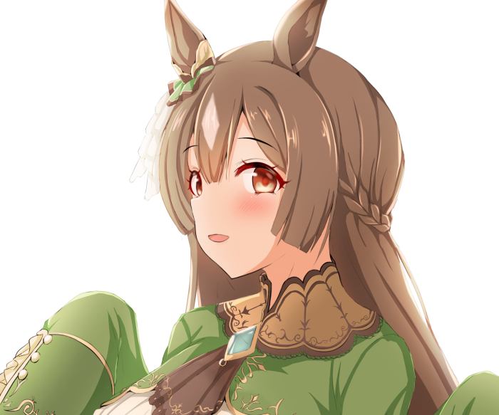 Satono Diamond from Uma Musume: Pretty Derby