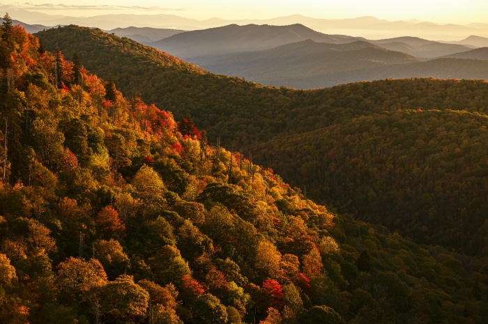 Mountain landscape with autumn foliage in 4K