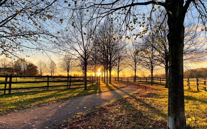 Autumn Sunset with Shadows and Fence