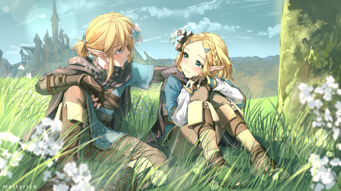 Link and Zelda from Breath of the Wild relaxing in a field