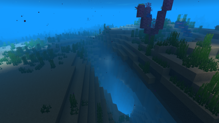 Underwater cave with coral and seaweed