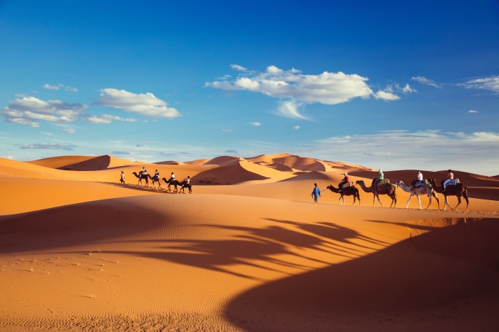 Photography Caravan in the Desert 4K