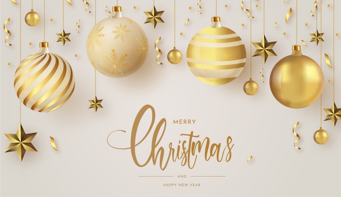 Merry Christmas and Happy New Year Ornaments