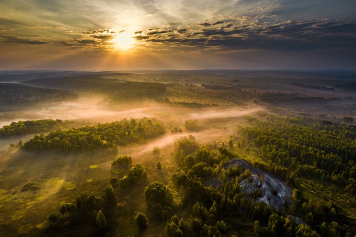 Misty forest landscape at sunrise