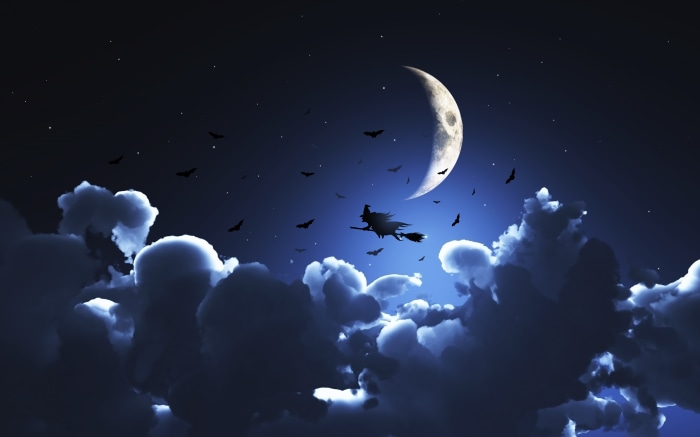 Witch flying on broomstick at night with moon and bats