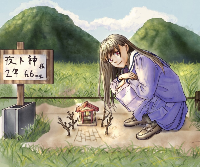 Hiyori Iki from Noragami
