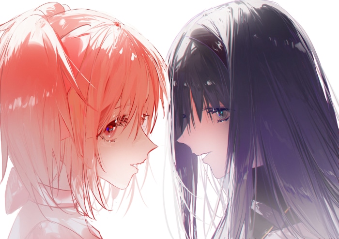 Madoka Kaname and Homura Akemi from Puella Magi Madoka Magica
