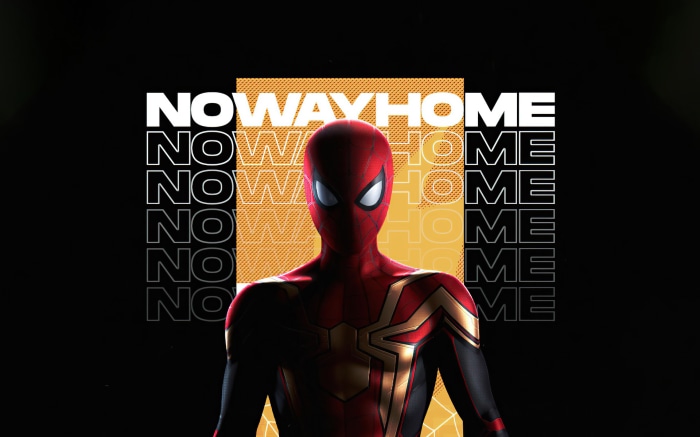 Spider-Man from Spider-Man: No Way Home