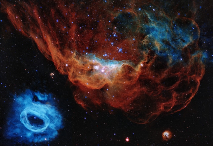 NGC 2014 and NGC 2020 Nebulae by NASA