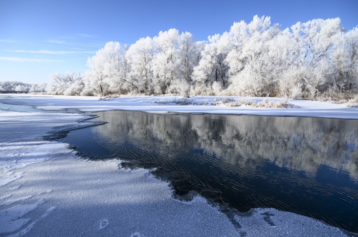 Winter river with frosted trees and blue sky