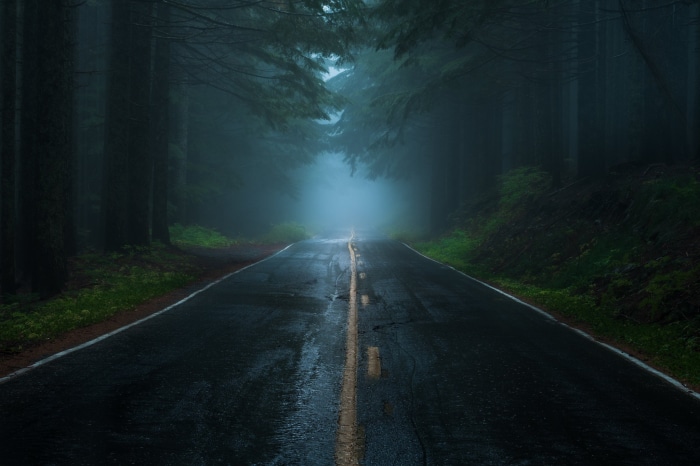 Foggy forest road with yellow line