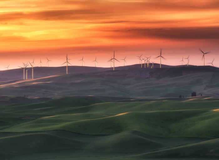 Wind turbines on rolling hills at sunset