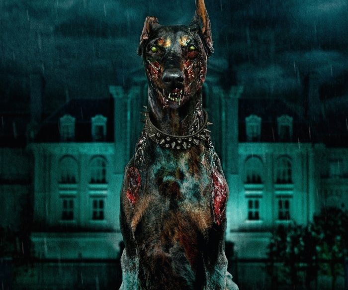 Zombie Doberman from Resident Evil: Welcome To Raccoon City