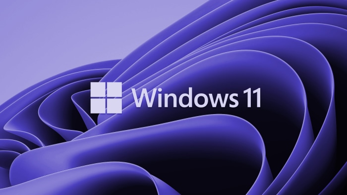 Windows 11 logo and branding