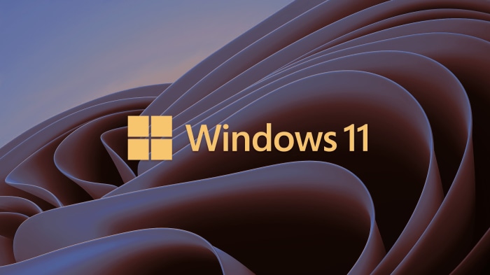 Windows 11 Logo on Abstract Background