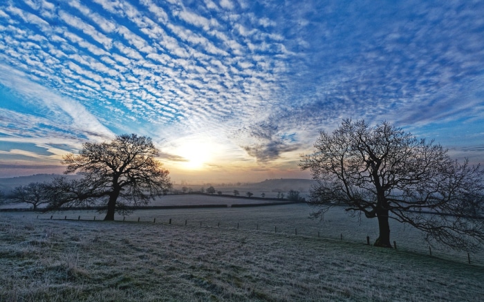 November Sunrise over Frosted Field with Trees