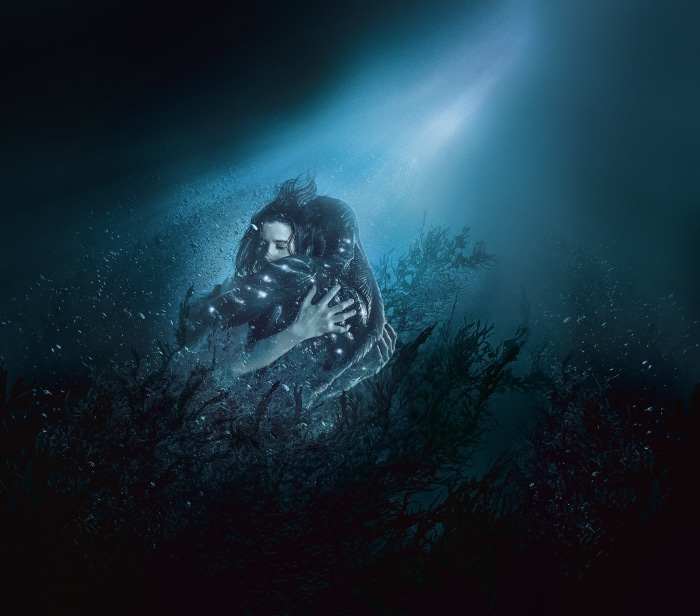 The Shape Of Water
