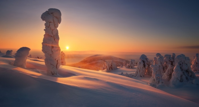Snow-covered trees and landscape at sunset