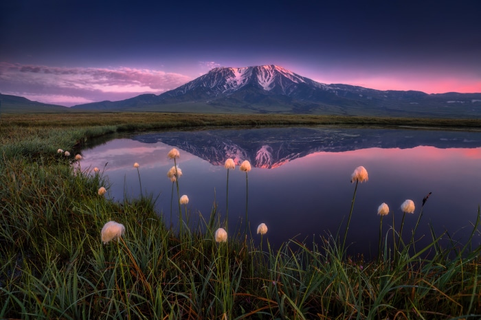 Mountain reflection in lake at sunrise with cotton grass
